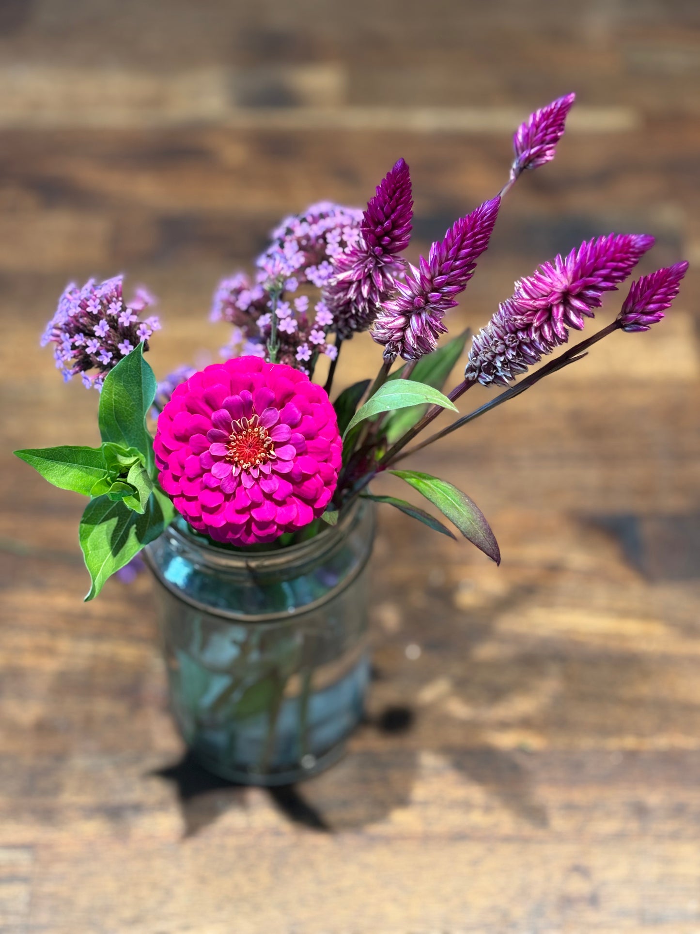 Violet Mix