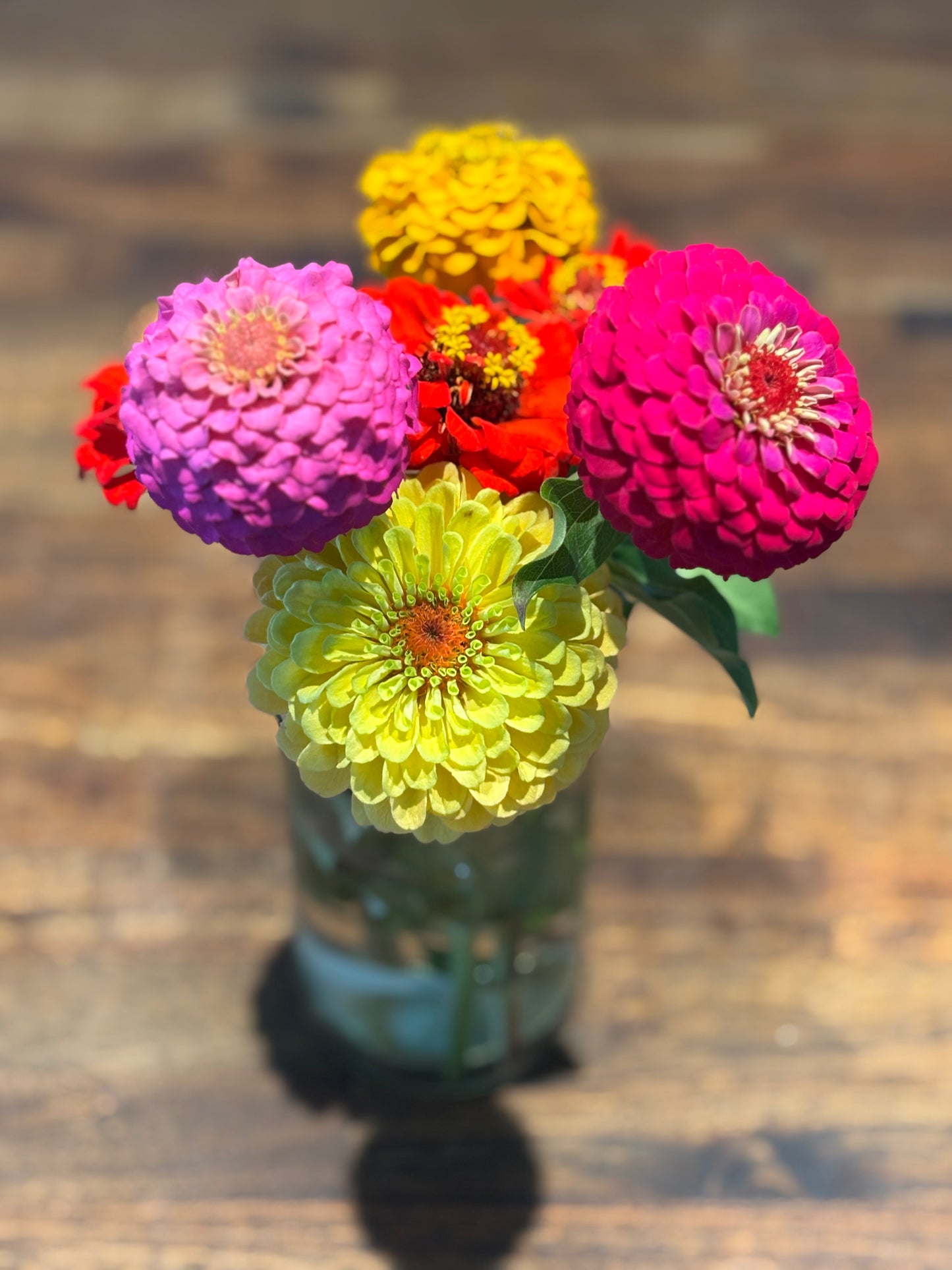 Assorted Zinnia Bouquet