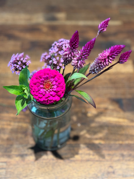 Violet Mix