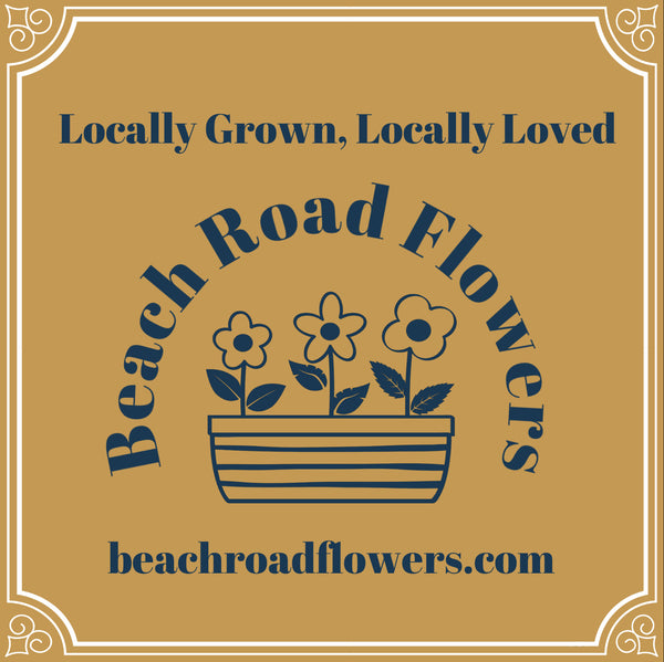 Beach Road Flowers